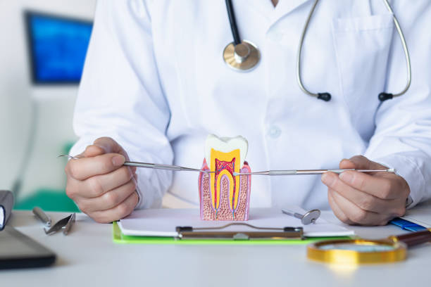 Best Emergency Dental Services for Seniors in Bay Park, NY